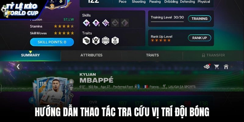 Hướng dẫn tra cứu bảng xếp hạng bóng đá theo giải đấu